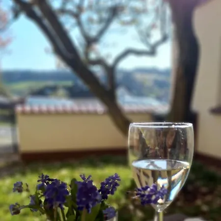 Odenwald Heaven Apartment *